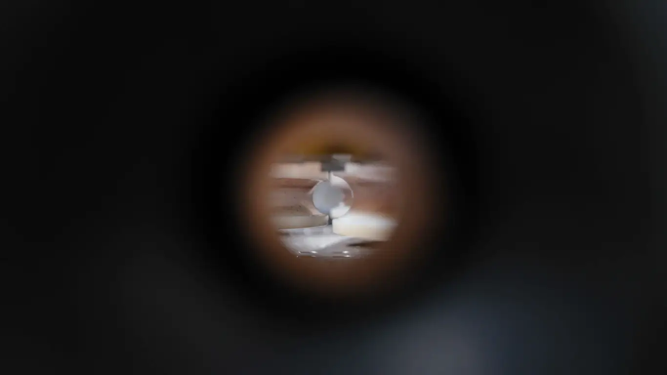 Zoomtech – fotografie 15